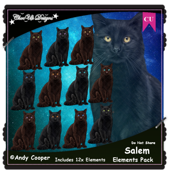 Salem CU/PU - Click Image to Close