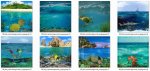 Scenic Backgrounds - Surging Seas - cu4cu/cu/pu