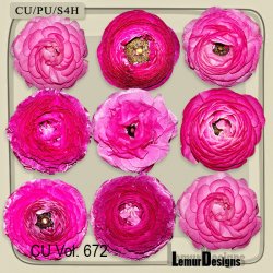 CU Vol. 672 Flowers