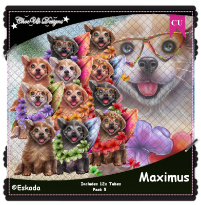 Maximus CU/PU Pack 5