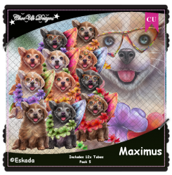 Maximus CU/PU Pack 5 Maximus CU/PU Pack 5