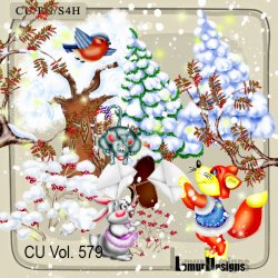 CU Vol. 579 Winter Day