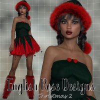 ERD_Christmas 2