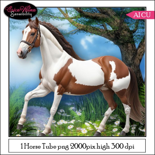 EW AI Horse 01 2023 - Click Image to Close