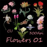 Flowers element pack