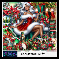 Christmas gift