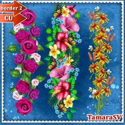 Tamara_CU_border_2