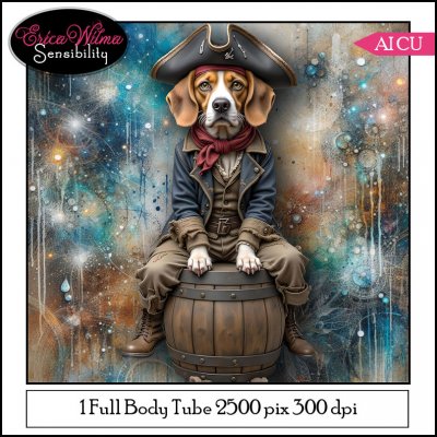 EW AI Pirate 01 2025