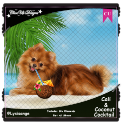 Cali & Coconut Cocktail Elements CU/PU Pack Cali & Coconut Cocktail Elements CU/PU Pack