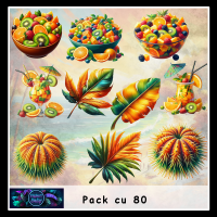 Cu pack 80