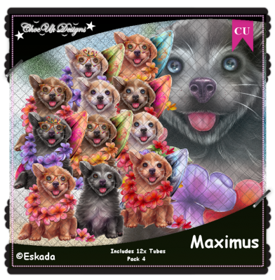 Maximus CU/PU Pack 4