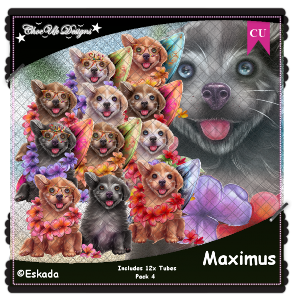 Maximus CU/PU Pack 4 - Click Image to Close