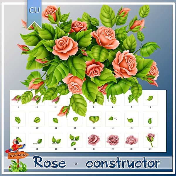 Rose constructor CU - Click Image to Close