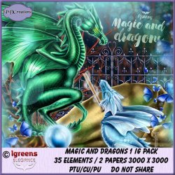 Magic And Dragons 1 IG Pack