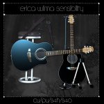 EW Acoustic Guitar