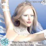 WINTER DANCE POSER TUBE PACK CU - FS by Disyas