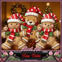 AL2_Xmas Cookies 1