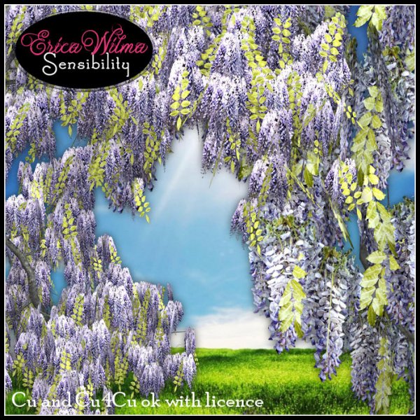 EW Wisteria - Click Image to Close