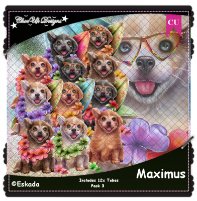 Maximus CU/PU Pack 3