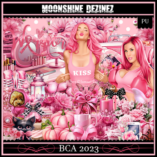 BCA 2023 - Click Image to Close