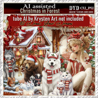 CHRISTMAS IN FOREST