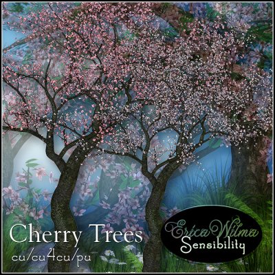 EW Cherry Trees 2020