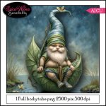 EW AI Gnome 03 2025