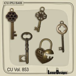 CU Vol. 853 Key by Lemur Designs