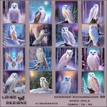 Designer Backgrounds 69 - Snow Owls - cu4cu/cu/pu