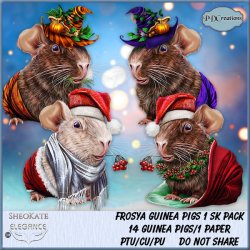 Frosya Guinea Pigs 1 SK Pack