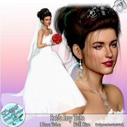 BRIDE IRAY POSER TUBE CU - FS by Disyas