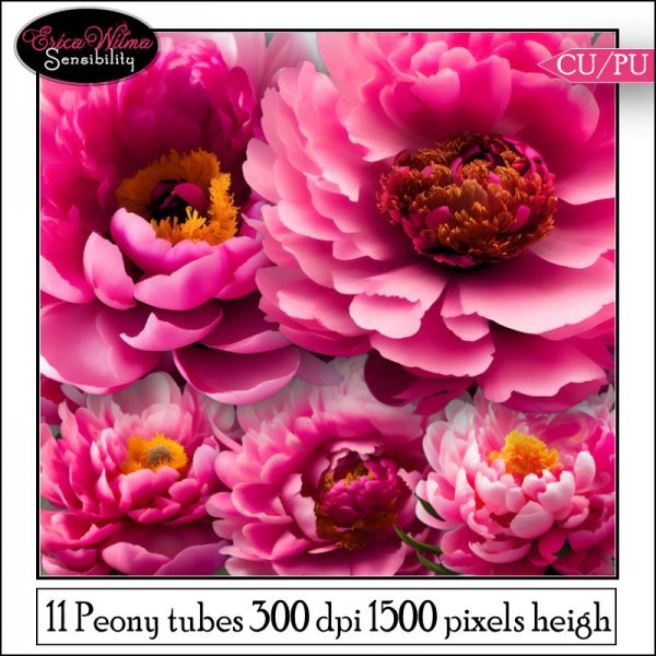 EW Peony 2023 - Click Image to Close