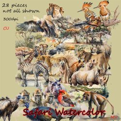 Safari Watercolor Collection