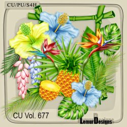 CU Vol. 677 Tropical Flowers
