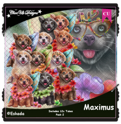Maximus CU/PU Pack 2 Maximus CU/PU Pack 2