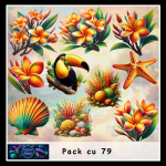 Cu pack 79