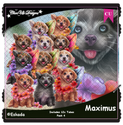 Maximus CU/PU Pack 4 Maximus CU/PU Pack 4