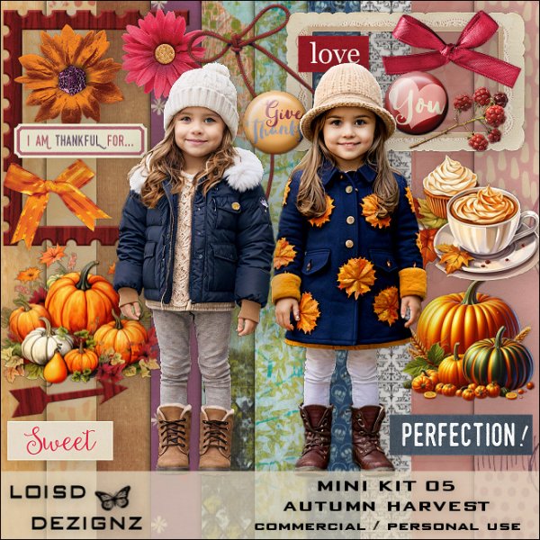 Mini Scrap Kit 05 - Autumn/Harvest - CU / PU - Click Image to Close