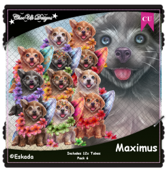 Maximus CU/PU Pack 6 Maximus CU/PU Pack 6