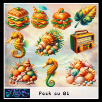 Cu pack 81