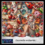 coccinelle enchantee