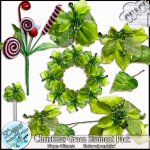 CHRISTMAS GREEN ELEMENT PACK CU - FULL SIZE by Disyas