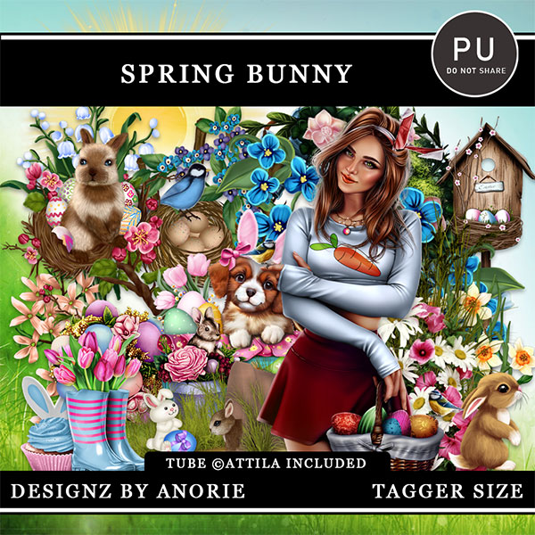 Spring Bunny - Click Image to Close