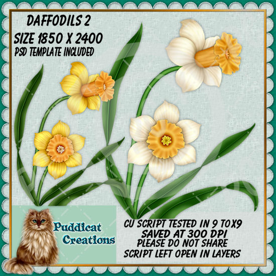 Daffodils 2 Script - Click Image to Close