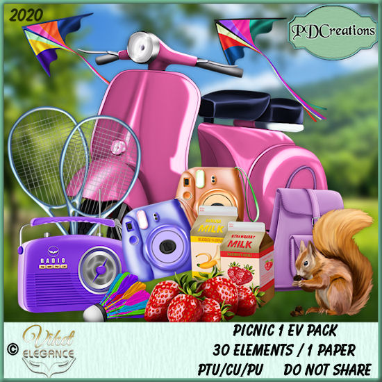 Picnic 1 EV Pack - Click Image to Close