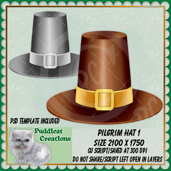 Pilgrim Hat 1 Script - Click Image to Close