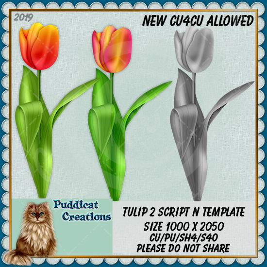 Tulips 2 Script - Click Image to Close
