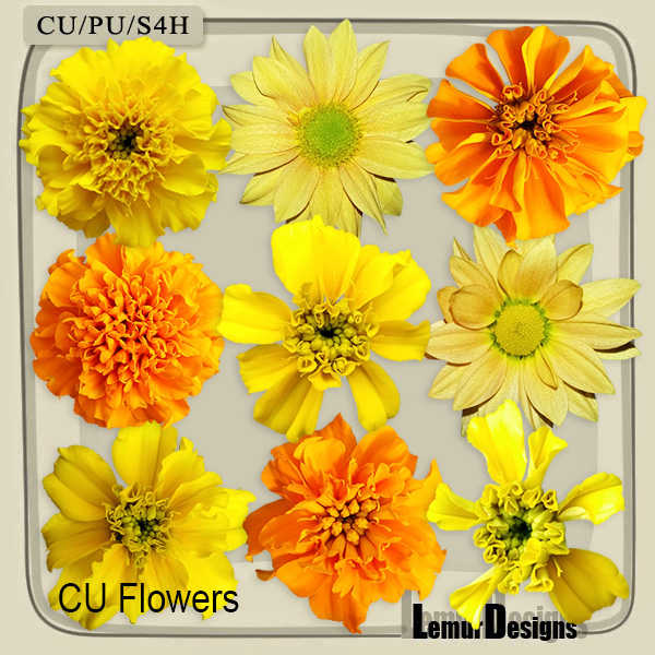 CU Vol. 658 Flowers - Click Image to Close