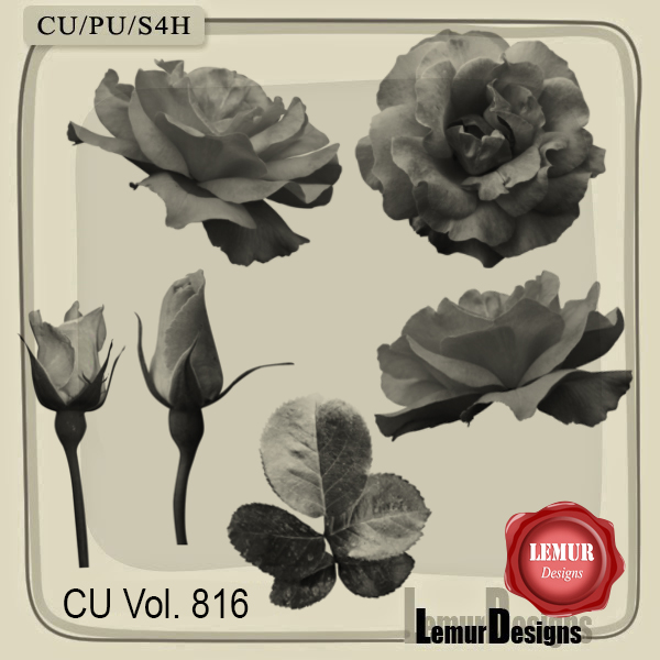 CU Vol. 816 Floral Brushes - Click Image to Close
