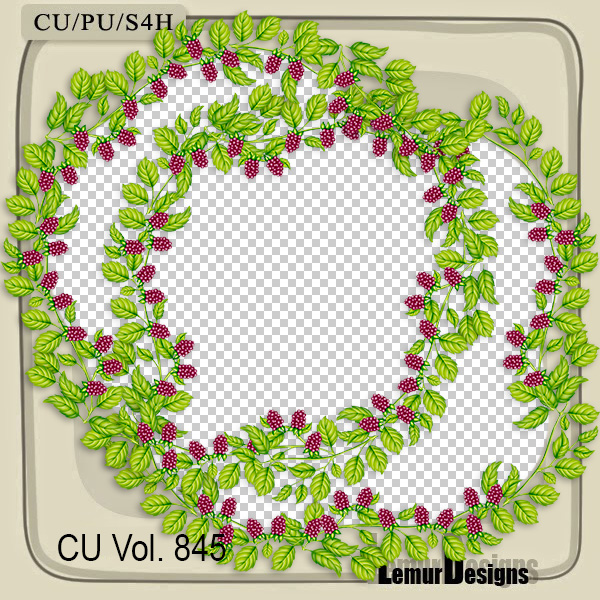 CU Vol. 845 Frames by Lemur Designs - Click Image to Close
